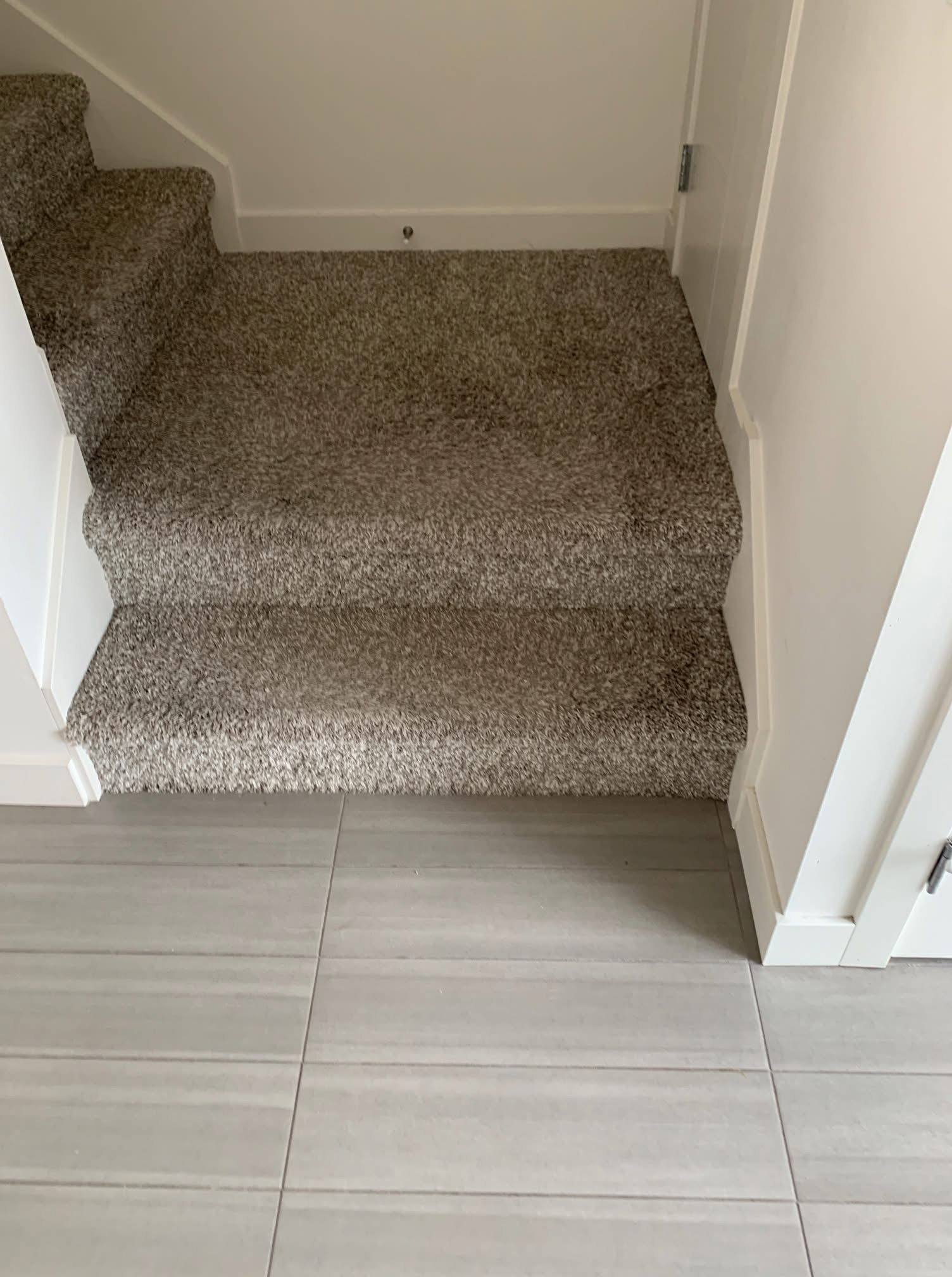 Zebrano Flooring Installation 6